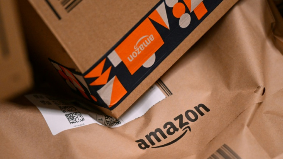 March&eacute; du livre: Amazon &eacute;value &agrave; 100 millions d'euros les frais de port pay&eacute;s par les Fran&ccedil;ais