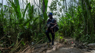 Unos 120.000 menores entre el r&eacute;cord de migrantes que cruzaron la selva paname&ntilde;a en 2023