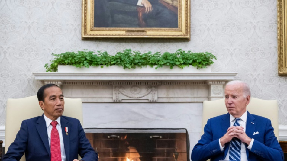 Indonesiens Pr&auml;sident fordert von Biden mehr Einsatz f&uuml;r Ende der Gewalt im Gazastreifen