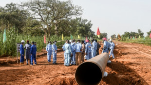 Dans le sud du Niger, le plus grand ol&eacute;oduc d'Afrique prend corps