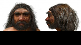 Eine Million Jahre alter Schädel könnte Zeitachse der menschlichen Evolution verschieben