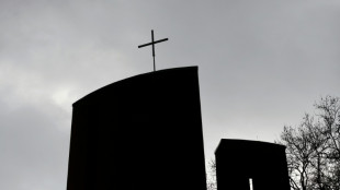 Bischofskonferenzvorsitzender Wilmer wird neuer Bischof in M&uuml;nster