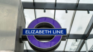 H&ocirc;tels, transports: Londres affiche complet pour l'enterrement d'Elizabeth II