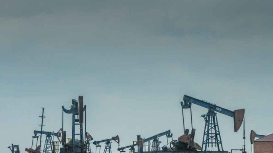 Les livraisons de p&eacute;trole russe via l'Ukraine interrompues (entreprise russe)