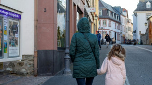 Linke fordert f&uuml;r Alleinerziehende Haushaltshilfe auf Staatskosten 