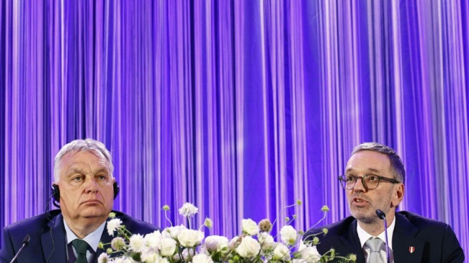 Orban und Kickl k&uuml;ndigen Gr&uuml;ndung neuer Rechtsau&szlig;en-Fraktion im EU-Parlament an