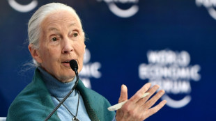 Climate change at 'point of no return': primatologist Goodall