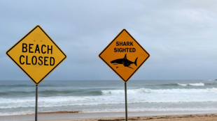 Muere el ni&ntilde;o australiano de 12 a&ntilde;os que fue mordido por un tibur&oacute;n