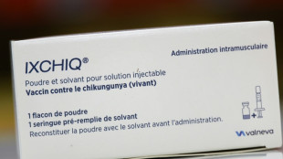 Vaccin contre le chikungunya: 4 nouveaux cas non graves d'effets indésirables, selon l'agence du médicament
