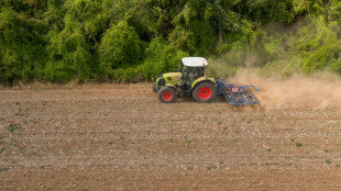 Les d&eacute;put&eacute;s approuvent plus de un milliard d'euros de d&eacute;penses suppl&eacute;mentaires pour l'agriculture