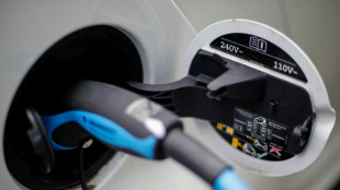 Immer mehr Menschen erw&auml;gen Anschaffung von Elektroauto