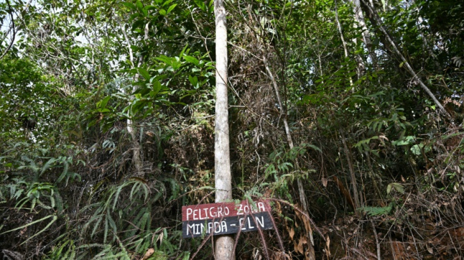 Una exguerrillera ser&aacute; la nueva jefa negociadora del gobierno de Colombia con el ELN