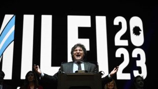 Milei cierra su campa&ntilde;a prometiendo que Argentina dejar&aacute; de ser "tierra fertil" para la corrupci&oacute;n