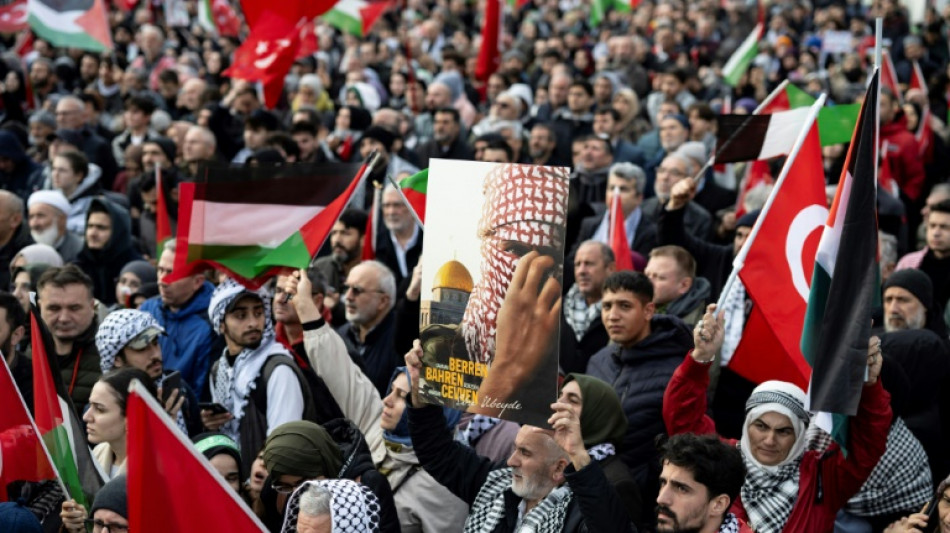 Multitudinaria manifestaci&oacute;n en Estambul contra "el terrorismo del PKK y de Israel"