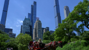 Kutschfahrten im New Yorker Central Park vor dem Aus