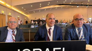 Unesco: premi&egrave;re visite publique d'une d&eacute;l&eacute;gation isra&eacute;lienne en Arabie saoudite
