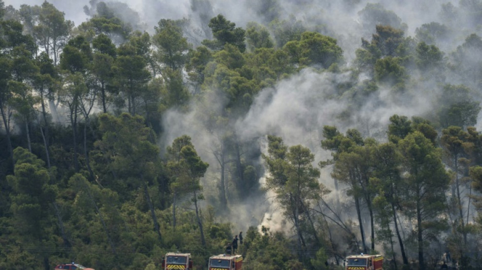 French firefighters optimistic after controlling vast wildfire