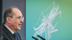 Romania holding suspected 'low-level agent' after pistols found near Berlin: Germany