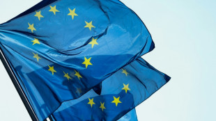 EU ruft zu "sofortiger humanit&auml;rer Pause" im Gazastreifen auf 