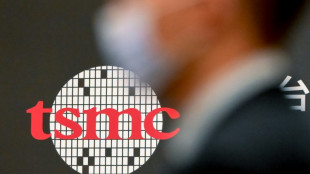 Puces : l'Allemagne d&eacute;croche la premi&egrave;re usine europ&eacute;enne du g&eacute;ant ta&iuml;wanais TSMC 