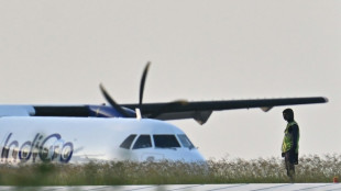 Le boom du trafic a&eacute;rien en Inde aiguise l'app&eacute;tit de Boeing et Airbus