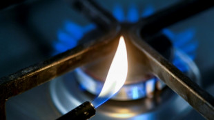 EU-Energieminister beraten &uuml;ber russische Gaslieferstopps