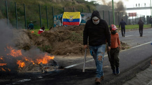 Manifestations en Equateur: arrestation du chef de la plus grande organisation indig&egrave;ne