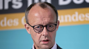 Merz warnt vor "M&auml;rtyrerrolle" der AfD bei Parteiverbotsverfahren