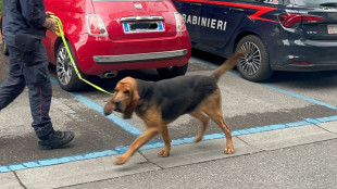 Pm 'Denisa rapita da connazionali, perquisita madre