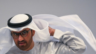 Sultan Al Jaber, le m&eacute;thodique businessman aux commandes de la COP28
