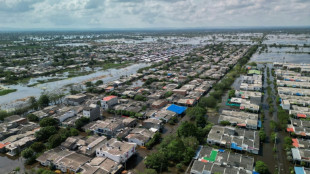 "Perdimos todo": inundaciones azotan una regi&oacute;n ganadera del norte de Colombia