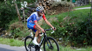 Tour de France: la journ&eacute;e de Pinot lui "donne des id&eacute;es pour la suite"