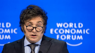 Milei dice en Davos que "Occidente est&aacute; en peligro" por el socialismo