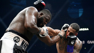 Boxe: Tony Yoka battu, coup d'arr&ecirc;t dans la "conqu&ecirc;te"
