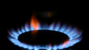 Mittelstand: Firmen w&uuml;rden Stopp russischer Gas-Lieferungen nicht verkraften