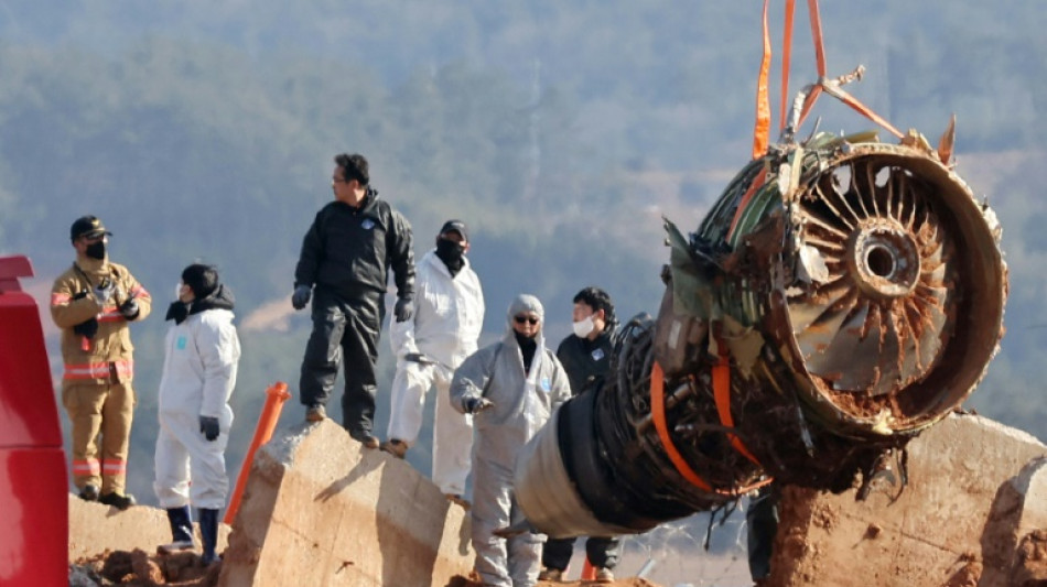 Bergung von Maschine nach Flugzeugungl&uuml;ck in S&uuml;dkorea begonnen
