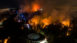 Chili: au moins deux morts et 400 logements endommag&eacute;s dans un incendie de for&ecirc;t
