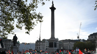 Des milliers de manifestants se rassemblent &agrave; Londres en soutien aux Palestiniens