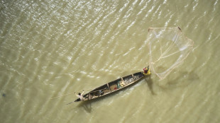L'Inde tire &agrave; vue sur le projet d'accord sur la p&ecirc;che &agrave; l'OMC