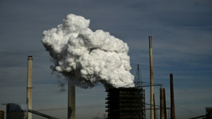 Mideast war plunges Germany's energy-hungry industry into crisis