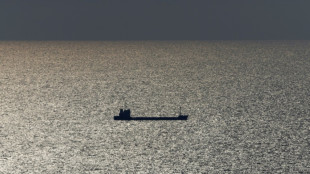 Llega a Turqu&iacute;a el primer carguero que zarpa de Ucrania desde el fin del acuerdo