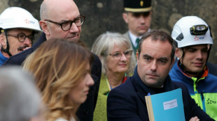 Francia apuesta por el sector nuclear para salir de las energ&iacute;as f&oacute;siles