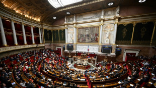 Un projet de loi portant des moyens pour la s&eacute;curit&eacute;, aux mains de l'Assembl&eacute;e