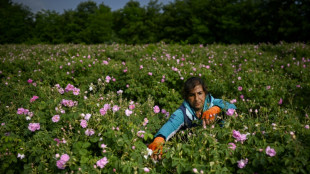 L'inflation de l'&eacute;nergie, une &eacute;pine dans le pied des roses bulgares