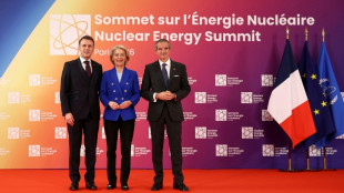 La UE promete 200 millones de euros para impulsar una energ&iacute;a nuclear "innovadora"