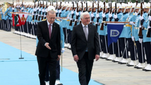 "Wir brauchen einander": Steinmeier und Erdogan pl&auml;dieren f&uuml;r Ann&auml;herung