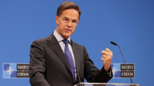 Nordkorea: Nato best&auml;tigt Truppeneinsatz gegen die Ukraine