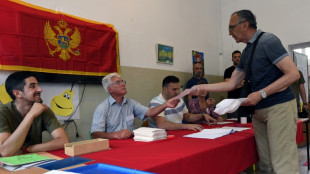 Les Mont&eacute;n&eacute;grins aux urnes pour essayer de mettre fin &agrave; des ann&eacute;es de crise