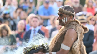Australie: les d&eacute;fenseurs des droits des autochtones manifestent pendant la f&ecirc;te nationale