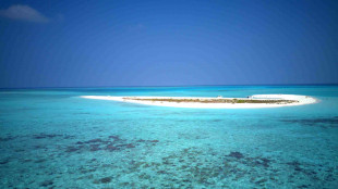 Cinque italiani morti alle Maldive durante un'immersione